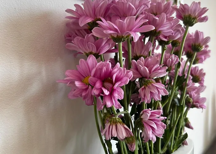 Rea Flora - Cozy With Free Parking アパート